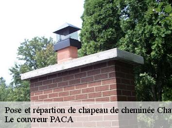 Pose et répartion de chapeau de cheminée  chateaudouble-83300 Le couvreur PACA